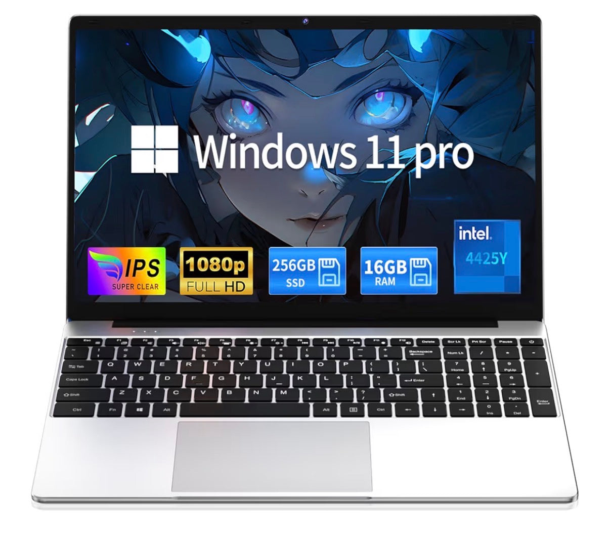 Windows 11 Pro Laptop